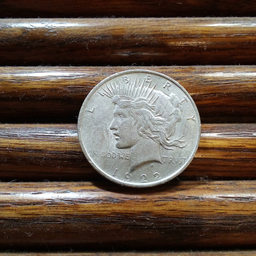 Vintage $1 Dollar Peace Liberty Silver Coin No Mint Mark